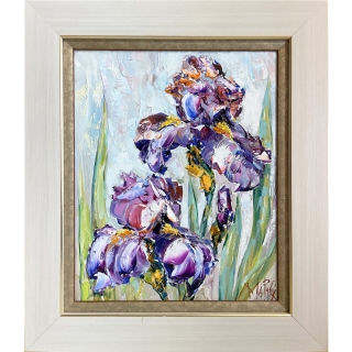 Colorful Irises