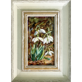 Forest Snowdrops