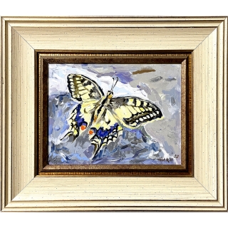 Wonderful Butterfly